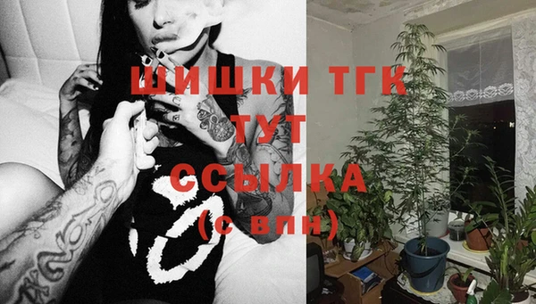 крисы Арсеньев
