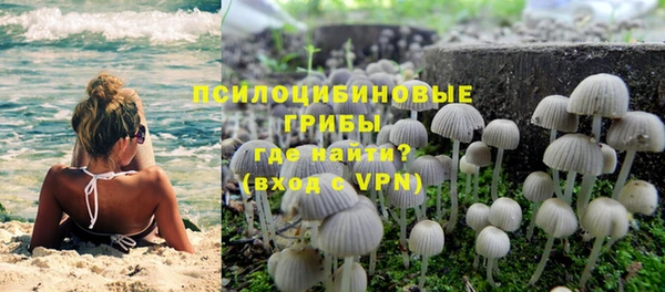 MESCALINE Аркадак