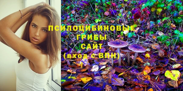 MESCALINE Аркадак