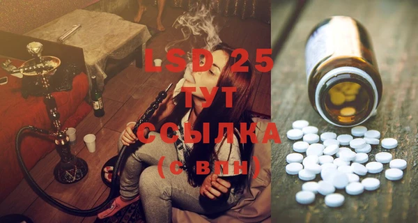 MESCALINE Аркадак